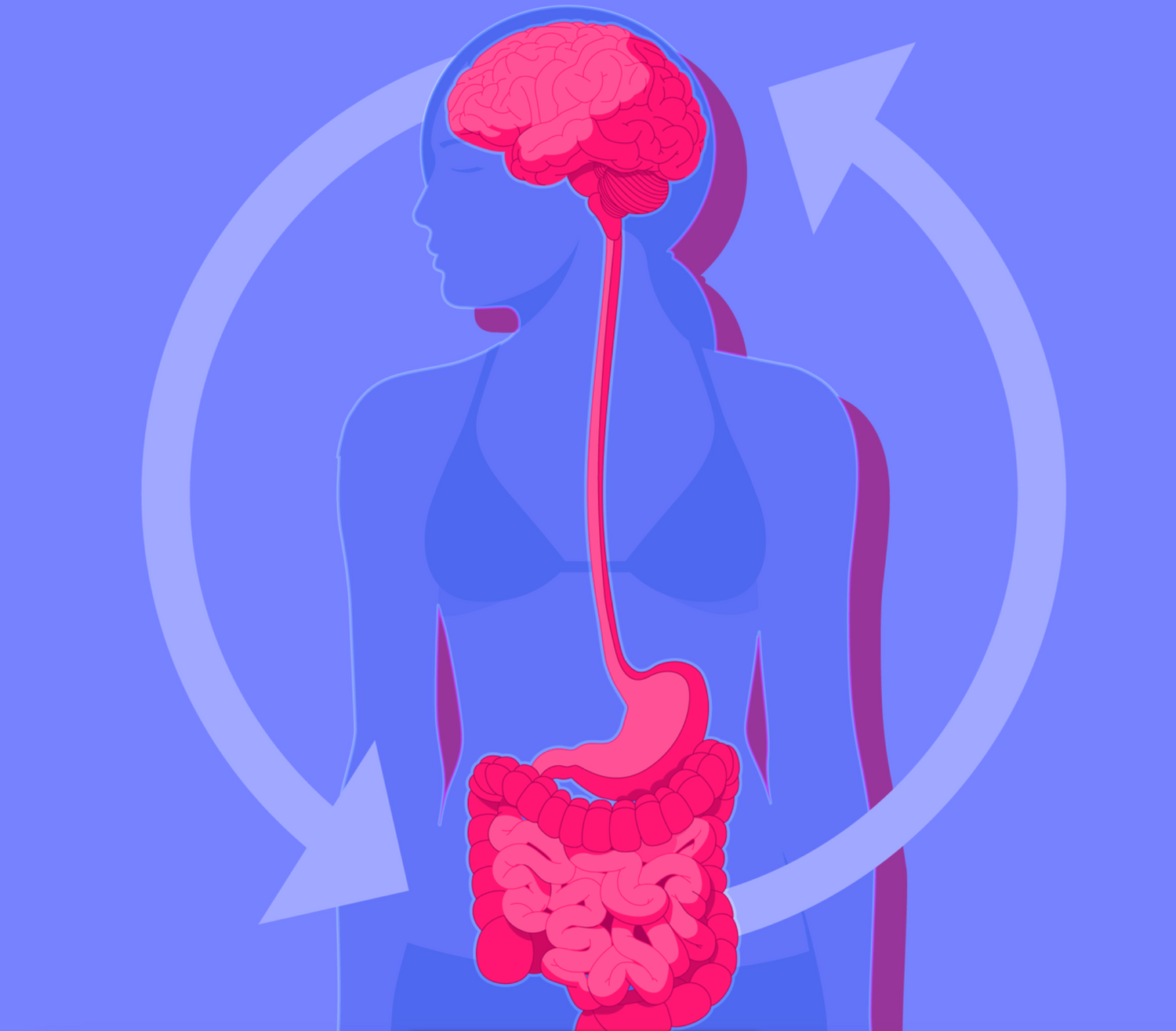 COMMENT L'AXE INTESTIN-CERVEAU INFLUENCE-T-IL NOTRE STRESS ?